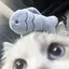 ゆちゃんのプロフィール画像
