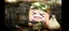 ゆなのプロフィール画像