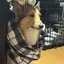 舞子のプロフィール画像