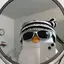 かんのプロフィール画像