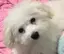 なつみのプロフィール画像