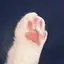 ルのプロフィール画像