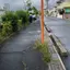 拓真のプロフィール画像