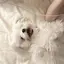 愛望のプロフィール画像