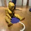 しょうごのプロフィール画像