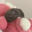 む〜のプロフィール画像
