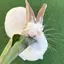 まりんのプロフィール画像