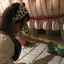 まーちんのプロフィール画像