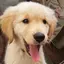 むーちゃんのプロフィール画像