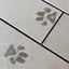 みゆのプロフィール画像