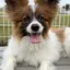 せーちゃんのプロフィール画像