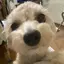 はんぺんのプロフィール画像