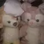 みちのプロフィール画像