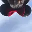 ふっかのプロフィール画像