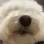 なつのプロフィール画像