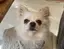 かおのプロフィール画像