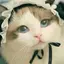 ノーモアアップセルのプロフィール画像