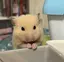 ゆかのプロフィール画像
