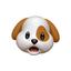 かんちゃんのプロフィール画像