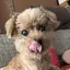 ひさんのプロフィール画像