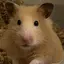 UKのプロフィール画像