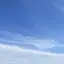 小エビのサラダのプロフィール画像
