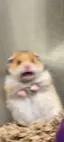 葵のプロフィール画像