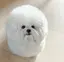 あかぴのプロフィール画像