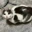 ひのプロフィール画像