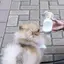 あおいのプロフィール画像
