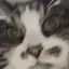 ゆずピのプロフィール画像