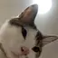 あいちのプロフィール画像