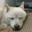 キキのプロフィール画像