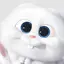 ぴょのプロフィール画像