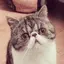 まきのプロフィール画像