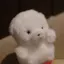 wakabaのプロフィール画像