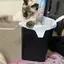 ゆっこのプロフィール画像