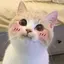 りなのプロフィール画像