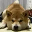 むむのプロフィール画像