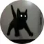 cのプロフィール画像