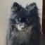 ほののプロフィール画像