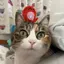 ymのプロフィール画像