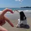 めいのプロフィール画像