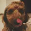 Kのプロフィール画像