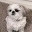 あめちゃんのプロフィール画像