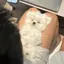ひなのプロフィール画像
