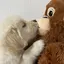 NaNaのプロフィール画像