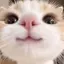 ゆうきのプロフィール画像