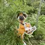 さゆのプロフィール画像