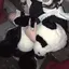 🐼🦋🤍のプロフィール画像